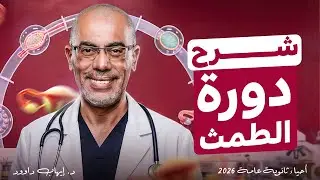 أقوي شرح لدورة التزاوج فى شكل قصة | أحياء ثانوية عامة 2026 مع دكتور إيهاب داوود