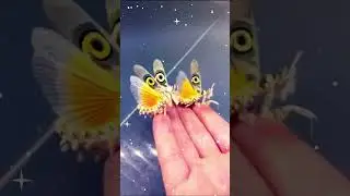 World Rare Insects #shorts #shortsfeed
