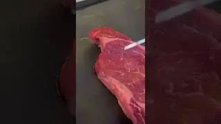 Grass-fed vs Grain-fed beef #farmers