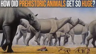 Why Were Prehistoric Animals Bigger Than Today&rsquo;s Animals?