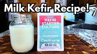 Milk Kefir: The #1 Probiotic Superfood for Gut Health | Coolinario Starter Culture Recipe