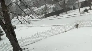 East Hartford  CT Live Snow Storm