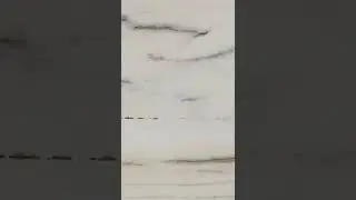 Albeta White | White Marble | 7737422142