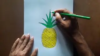 How to draw and colour a pineapple with correct measurement