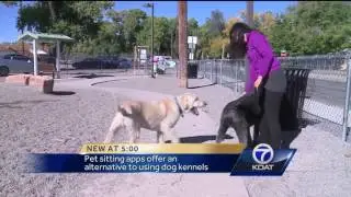 Pet sitting app