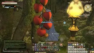 FFXIV - Pilfered Podlings