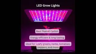 The Best Grow Lights for Hydroponics: Boost Your Indoor Garden!