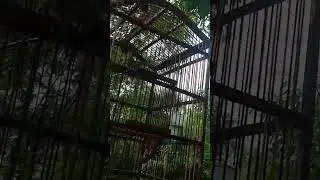 jrogjog
