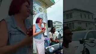 Amy Elizabeth duo - cover of House of the Rising Sun by the Animals