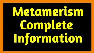 What is metamerism isomerism || What is metamerism with example ||  What is metamerism class 11