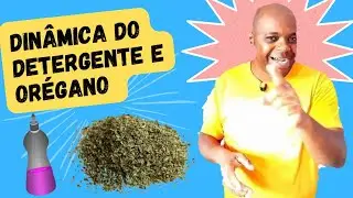 dinâmica: orégano e detergente #quebragelos #dinâmicaadultos