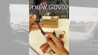 สายไฟ 4 เส้น ของ GDV02 มีอะไรบ้าง