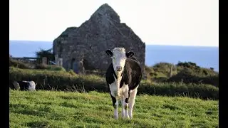 #VisitWaterford #Staycation #Ireland Waterford's Copper Coast