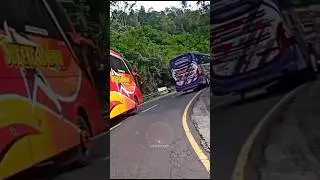 ngeri ‼️ balapan bus sugeng rahayu vs sumber jaya
