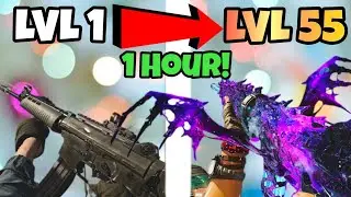 MAX Your Weapon in 1 HOUR! Cold War ZOMBIES FAST XP Farm