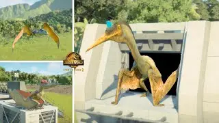 ALL 13 FLYING REPTILES INTRODUCTION IN JURASSIC WORLD EVOLUTION 2 !