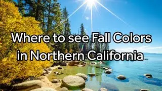 Where to See Fall Colors in Northern California