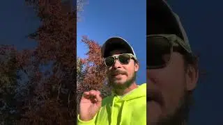 Бо Дьюк стал подхалимом для ICE