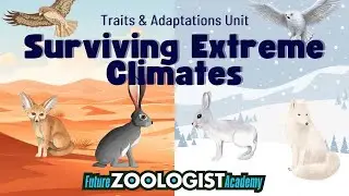 Surviving Extreme Climates | Animal Adaptations