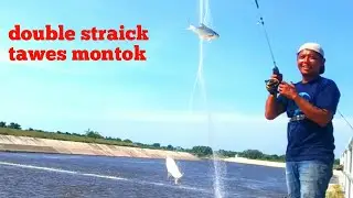 mancing jaring dapat ikan tawes babon
