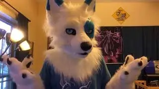 Xuen | My first experience at a Convention | Fursuit Vlog