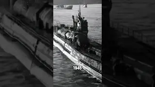 The Deadliest Animal Attacks in History | True Stories #shorts #facts
