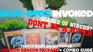 Blue-Eyes Invoked Deck Profile + Combo | THE DONT BE SCARED OF NIB CRIMSON DRAGON EDITION | Budget?