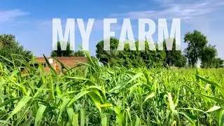 Village Music No Copyright | Copyright | MusicCopyright Free Farm and Nature video Cinematic video