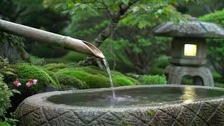 Relaxing Zen Misty Hills Bamboo Water Flow and Candle Glow with Morning Calm for Stress Relief & Dee