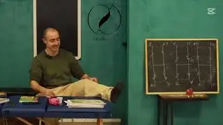 Meridiani accoppiati e circuito energetico...