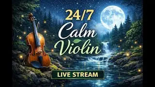 Relaxing Nature 🌿 | 24/7 Calm Music