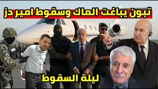 الرئيس تبون يباغت فرحات مهني و نهاية امير ديزاد و زيطوط و طرد الحكومة الفرنسية