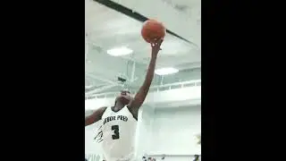 2022 Karianna Woods 15pts Arbor Prep vs Imlay City