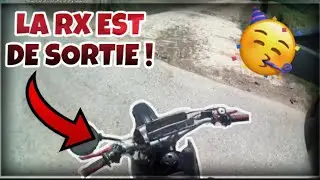 Daily observation #3 On sort le bestio ! ( balade,50cc,vlog )