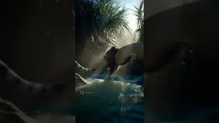 Strength, stripes, and the spirit of the jungle