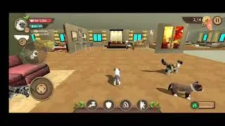 Убийство всех боссов в игре KatSim от разработчиков Turbo Rocket Games. P.S. смотрите в описание