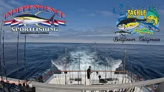 4th of July - Independence & Young's Tackle - Bluefin & Yellowtail Fishing -  #sandiego #tuna #fish