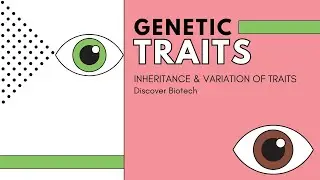 Lecture 4 | Genetic Traits | Inheritance and Variation Traits | Biotechnology Lecture Series