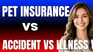 Pet insurance vs Routine vs Accident vs Illness vs Lifetime vs Multi pet vs Breed specific Which One