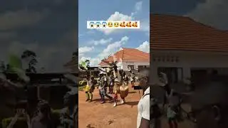 Acholic Royal Dance of the Northern Uganda and South Sudan #dance #fypシ゚viral #shorts