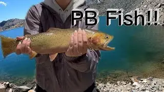 Chasing Shadows: Cutthroat Trout in the Heart of the Mountains