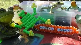 TurboBeads: Bead Frog Tutorial