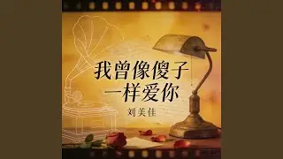 我曾像傻子一样爱你