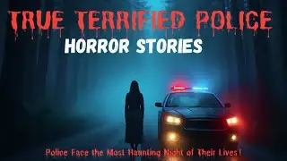 10 True Real Police Crime Investigations Horror Stories | When Justice Meets Fear