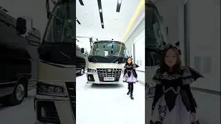Custom Luxury 12-seater Toyota Coaster.
