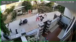 Bunch of Dogs attack on a girl who was passing through the road of her colony, Alwar RJ