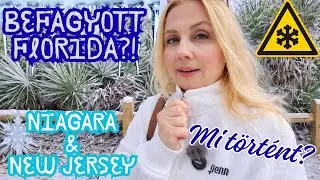 J&eacute;gkorszak az USA-ban! Fagyos Florida, h&oacute;fedte Niagara &eacute;s New Jersey.
