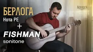 Тест звукоснимателя FISHMAN sonitone + БЕРЛОГА Нота РЕ