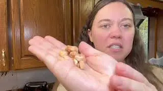 Sweet Fall Flavors &ndash; PLANTERS Apple Cider Donut Cashews Reviewed