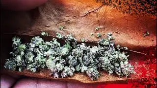 MY MISTRESS (MJ) -DOOMDAWIZ